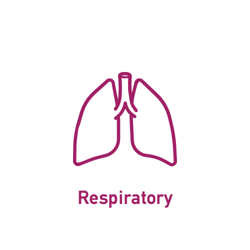 Respiratory System