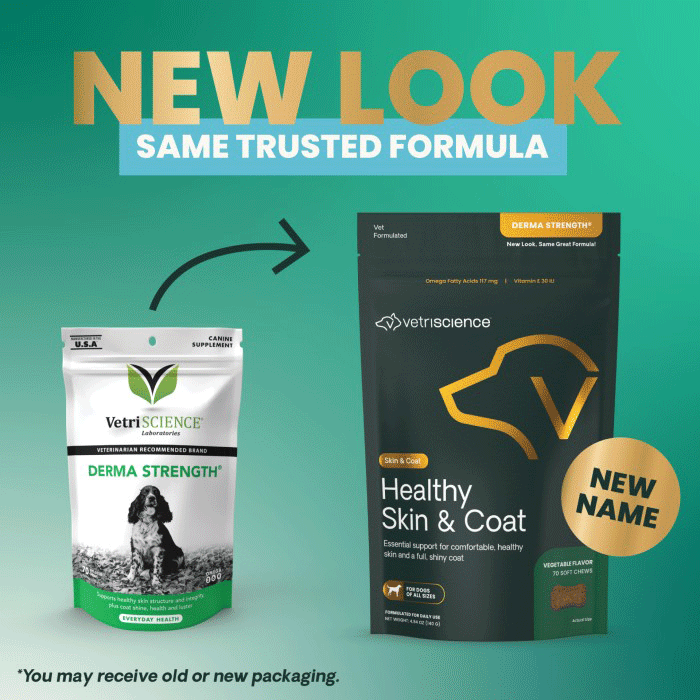 0006 VetriScience Healthy skin & coat 70 0006 VetriScience Healthy skin & coat 70