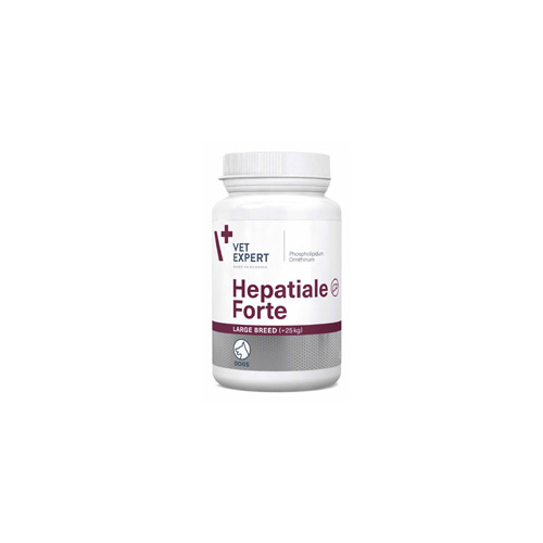 hepatiale - large-b
