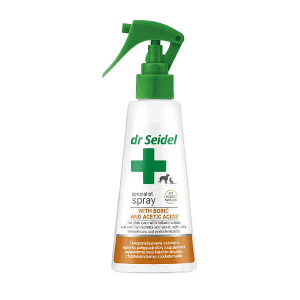 dr seidel spray specialist chlor keto 100ml