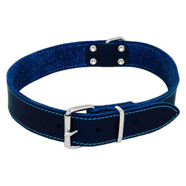 Collar Blue