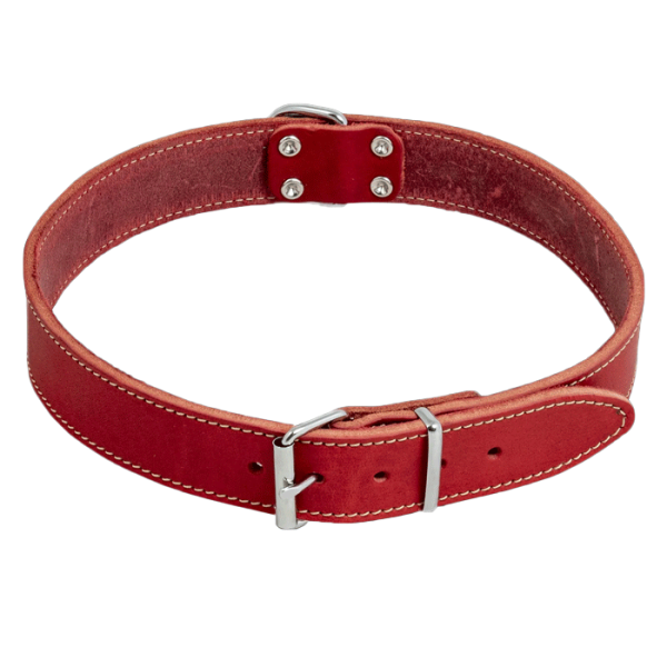 Collar red