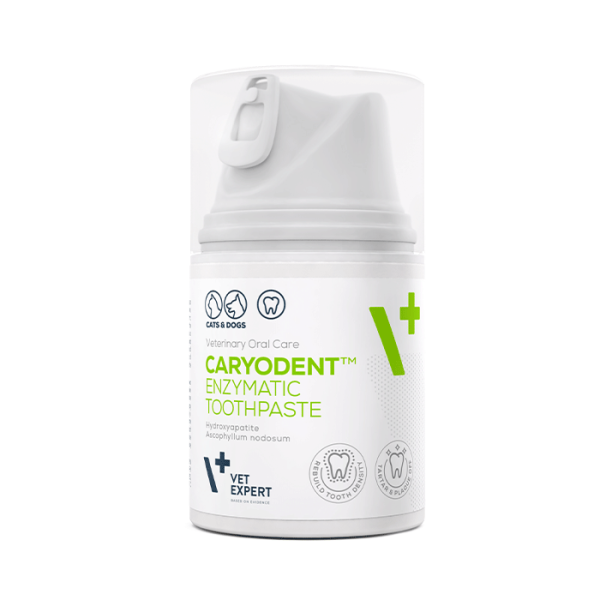 vet expert DENTAL LINE CaryoDent TOOTHPASTE 20240822 (002)