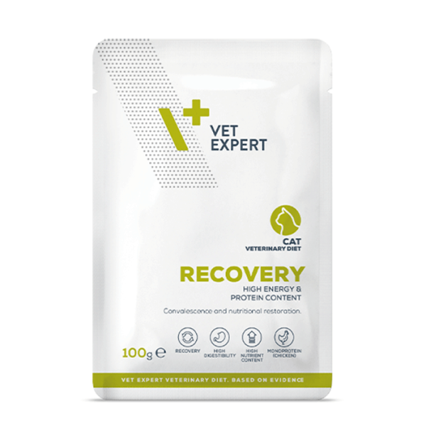 recovery cat 100g